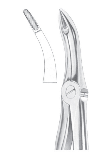 Extracting Forceps English Pattern